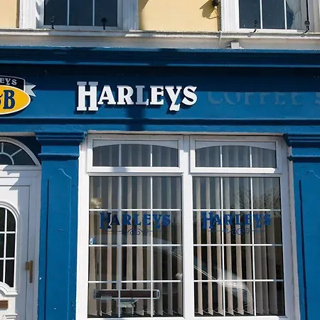 Harleys *
